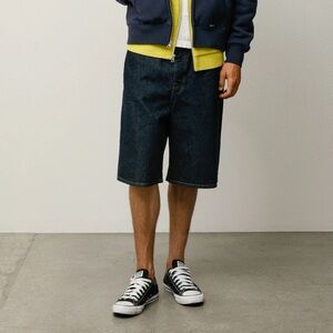 NWT Stussy Big Ol Shorts Unisex 28